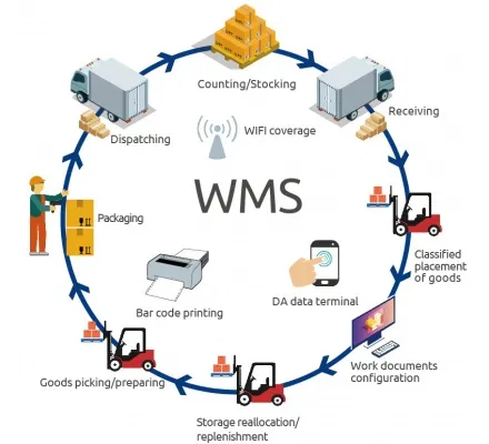 Nhà kho thông minh WMS lưu trữ nhiều pallet nhờ giải pháp tự động